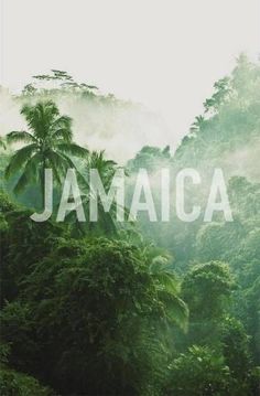 the word jamaica is surrounded by trees and fog