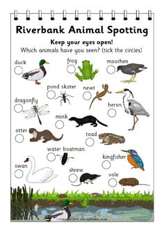 the riverbank animal spotting activity is shown in this printable poster, which includes pictures of water birds and other animals