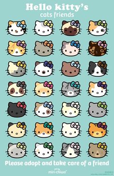 hello kitty's cat friends poster