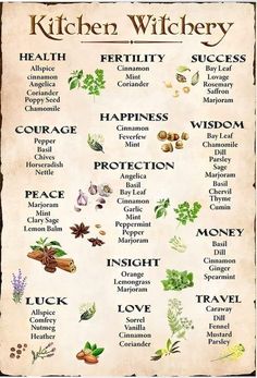 Zodia Pești, Witchcraft Herbs, Witch Herbs, Magia Das Ervas, Medical Herbs, Witch Spirituality, Grimoire Book, Magic Spell Book, Kitchen Witchery