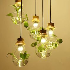 several light bulbs with plants growing inside them