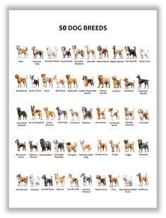 an illustrated poster with different breeds of dogs in each dog's body and head