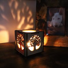 a dog is sitting in front of a photo on a table next to a candle holder