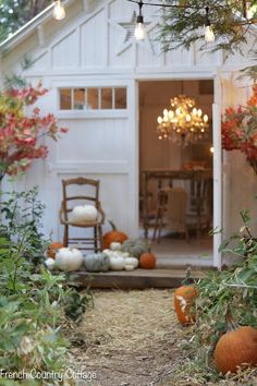 a small white shed with pumpkins in the yard and lights hanging from it's roof