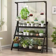 a shelf filled with potted plants next to a window