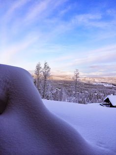 a snow covered hill with trees in the background