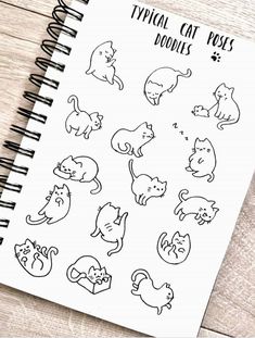 a spiral notebook with cats drawn on it and the words'typical cat poses '