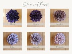 six different types of paper flowers on a wooden surface with words describing them in english and spanish