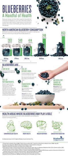 Health Benefits Of Blueberries (Infographic) Smoothies Vegan, Nutrition Sportive, Makanan Diet, Health Info, Healthy Tips, Superfoods, Blueberries, Health And Nutrition, Ayurveda