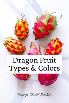 Six dragon fruit specimens with variations of pink skin and green scales. Dragon Fruit Types, Dragon Fruit Varieties, Dragon Fruits, Types Of Dragons, Kitchen Herbs, Potted Trees, Fruit Plants