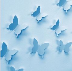 many butterflies are flying in the air on a light blue background with text that reads, how do you think about these?