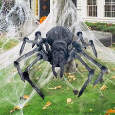 a large spider sitting on top of a lush green field next to a white house