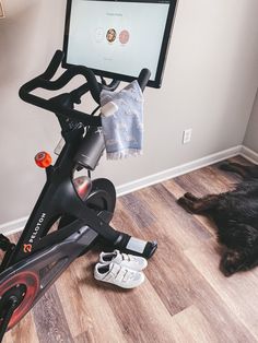 a dog laying on the floor in front of a computer monitor and exercise bike next to it