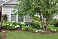 the front yard is full of flowers and trees