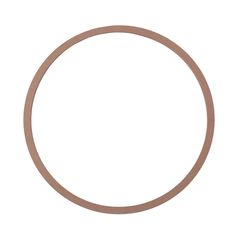 an empty gasket on a white background