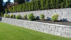 a stone retaining wall with plants growing in the middle and grass on the other side