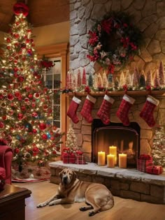 a dog laying on the floor in front of a christmas tree with stockings and candles