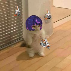 a white cat with purple hair standing on top of a hard wood floor