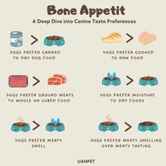 the benefits of bone appetit and how to use it in your dog's diet