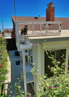 a cat sitting on the top of a house