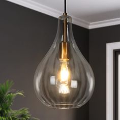 a clear glass light fixture hanging from a ceiling in a room with a potted plant