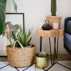 a living room with two plants on the table and a blue couch in the background