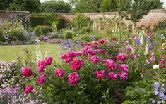 a garden filled with lots of flowers next to a lush green field covered in purple and white flowers