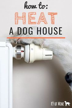 a dog that is standing on its hind legs with the words how to heat a dog house