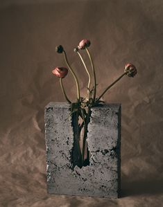 a vase filled with flowers sitting on top of a white table covered in dirt next to a wall