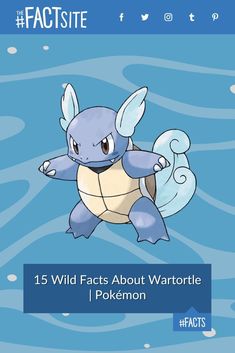 Learn the hidden facts about Wartortle, a Pokémon often overshadowed! From its unique abilities to its appearances in Pokémon movies and series, explore why Wartortle is more than just the evolution between Squirtle and Blastoise. Did you know that the deeper the tail's color, the older the Pokémon is? Dive into the world of Wartortle and uncover the mysteries behind this water-type Pokémon. #TheFactSite #Facts #Wartortle #Pokemon #Nintendo #VideoGames Pokemon Infographic, Pokemon Secrets Of The Jungle, Water Type Pokemon, Celebrity Film, Ash And Misty, Pokemon Funny Memes Lol