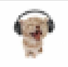 an image of a dog with headphones on it's ears and the words, listen to music