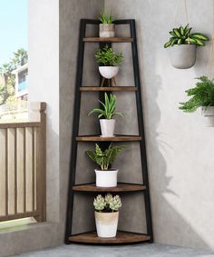 a corner shelf filled with potted plants next to a balcony