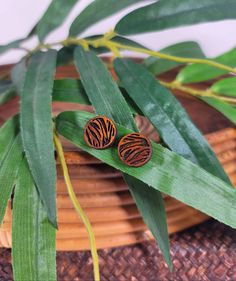 two zebra print wooden studs sitting on top of a leafy green plant next to a wicker basket