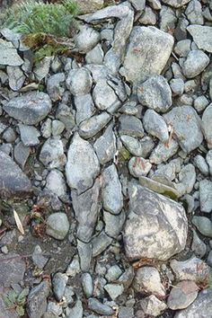 some rocks and grass on the ground