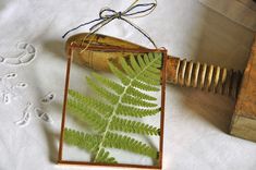 a green fern leaf in a wooden frame on a white tablecloth next to an old hammer