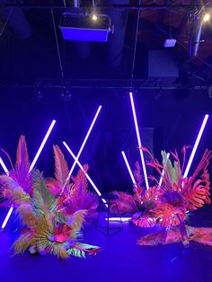 some very pretty flowers on a stage with purple lights in the backgrounnd