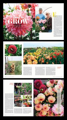 an article in a magazine about flowers and their names on the page, with pictures of them