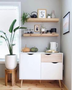 a potted plant sitting on top of a wooden shelf next to a white cabinet