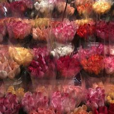 many different colored flowers are in plastic bags