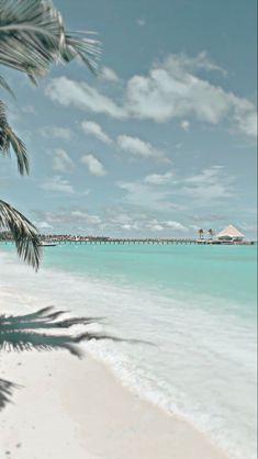 a palm tree on the beach with water and pier in the backgrounnd