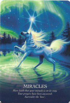 Angel Card, Angel Blessings, Angel Oracle Cards, Animal Spirit Guides, Angel Cards Reading, Card Messages, Spirit Science