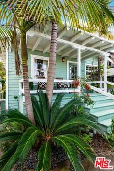 a blue house with palm trees in the front yard and stairs leading up to it