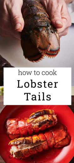 lobster tails on a red plate with the words how to cook lobster tails above it