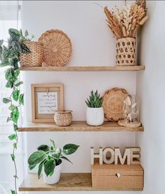 some shelves with plants and pictures on them