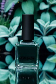 Meet Black Jade, the sophisticated dark green cream polish inspired by its namesake plant's rich, timeless beauty. Dark Green Polish Nails, Dark Green Nail Polish Colors, Jade Nail Polish, Opi Dark Green Nail Polish, Dark Green Nail Polish, French Tip Manicure, Green Wrap, Black Jade, Glitter Flake