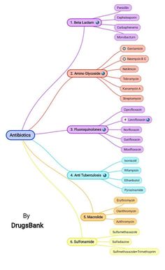 a mind map with all the different types of things to see and do in it