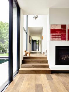 there is a dog that is standing on the stairs in front of the fire place