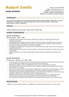 a resume for an interior designer in the office, with no work experience on it