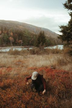 a person kneeling down in a field with trees and bushes around them, looking at the ground