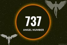 an orange circle with the number 737 and two white birds flying in front of it